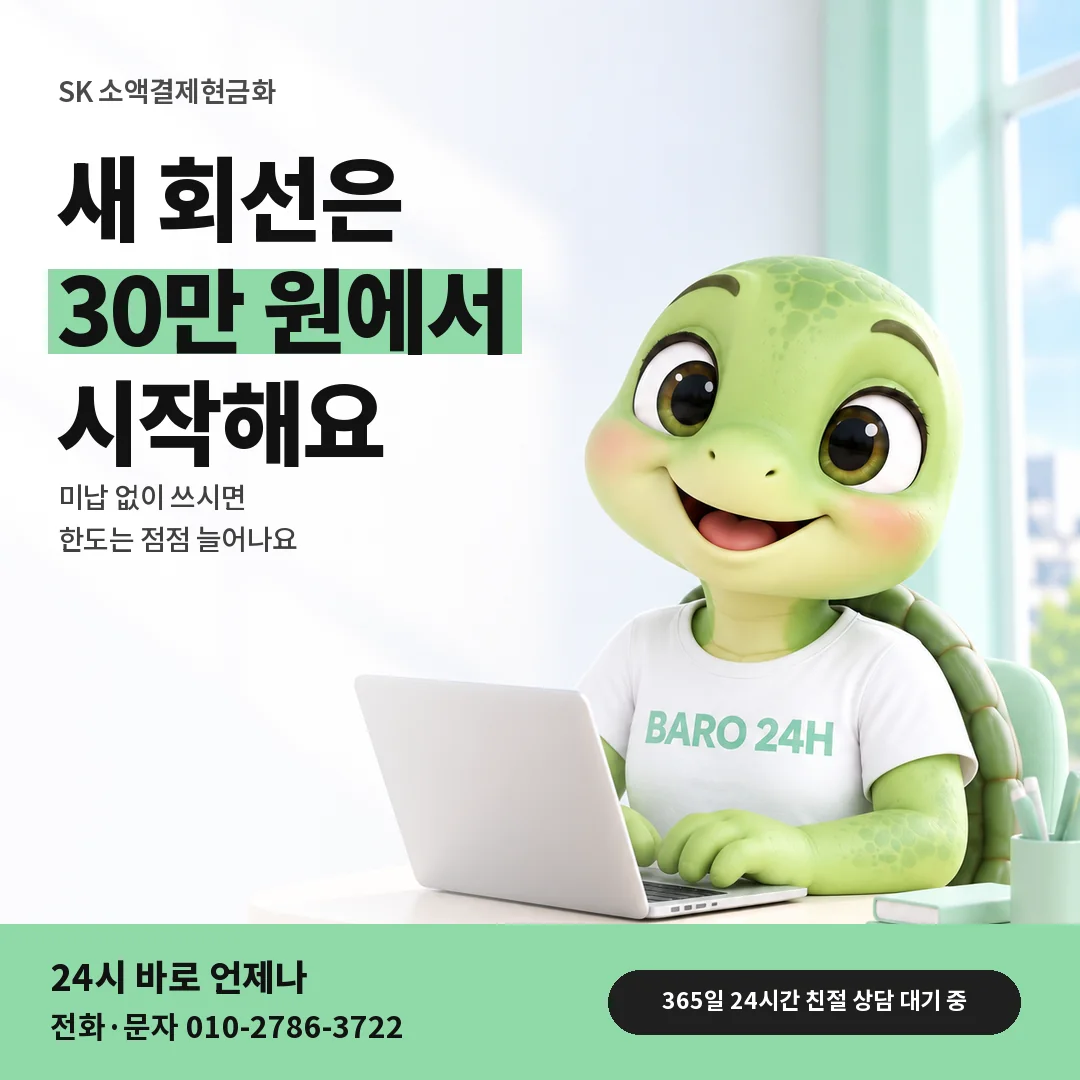 BARO 24H 티셔츠를 입은 3D 거북이 캐릭터 옆에 「SK 새 회선 30만 원 한도」 제목을 얹은 안내 카드